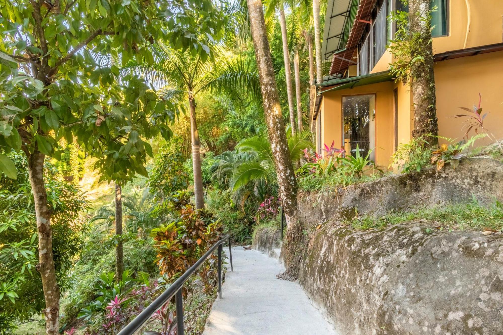 Boutique Hotel Las Cascadas Vườn quốc gia Vườn quốc gia Manuel Antonio Ngoại thất bức ảnh