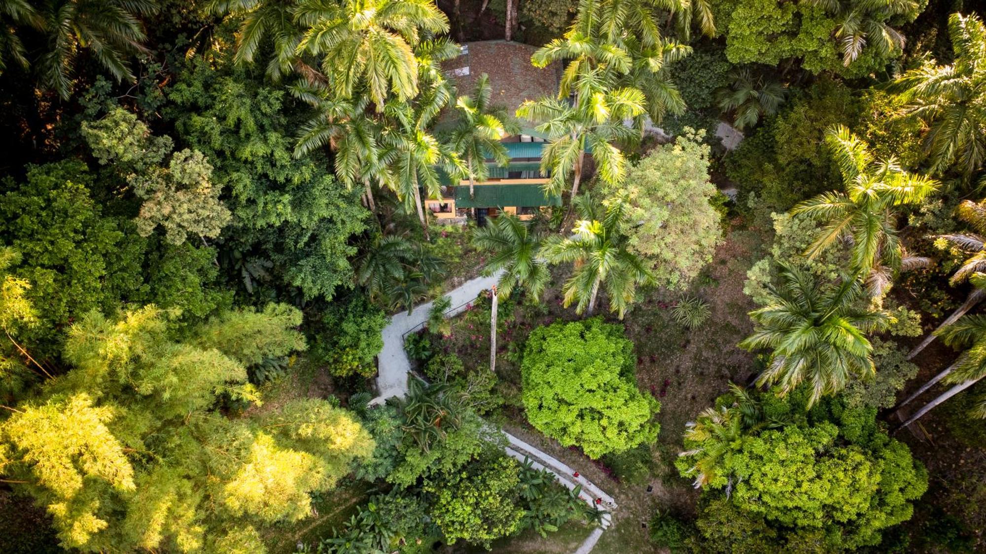 Boutique Hotel Las Cascadas Vườn quốc gia Vườn quốc gia Manuel Antonio Ngoại thất bức ảnh