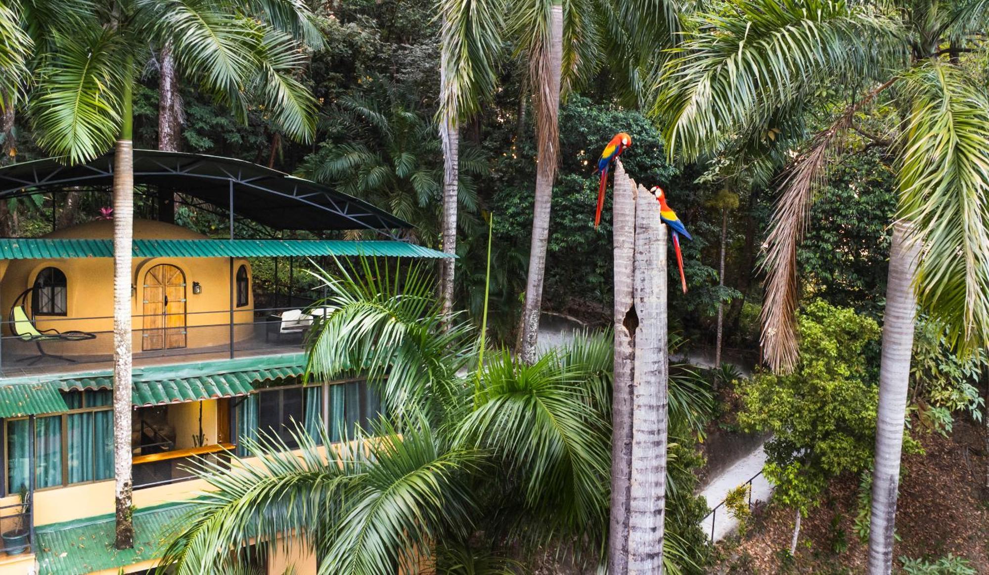 Boutique Hotel Las Cascadas Vườn quốc gia Vườn quốc gia Manuel Antonio Ngoại thất bức ảnh